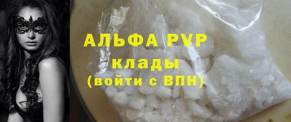 индика Заводоуковск