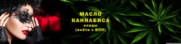 индика Заводоуковск