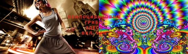 индика Заводоуковск