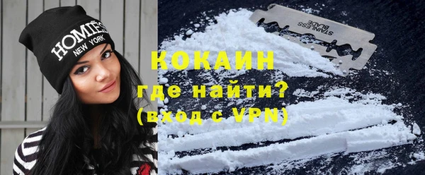 индика Заводоуковск