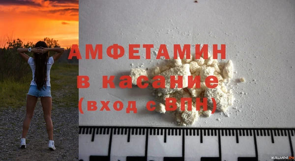 индика Заводоуковск