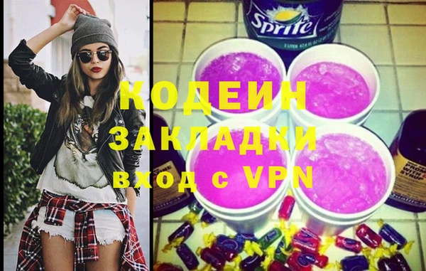 индика Заводоуковск