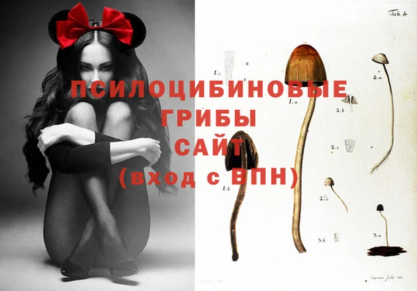 индика Заводоуковск