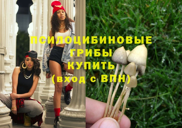 первитин Заволжье