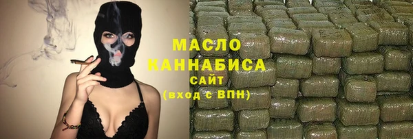 индика Заводоуковск