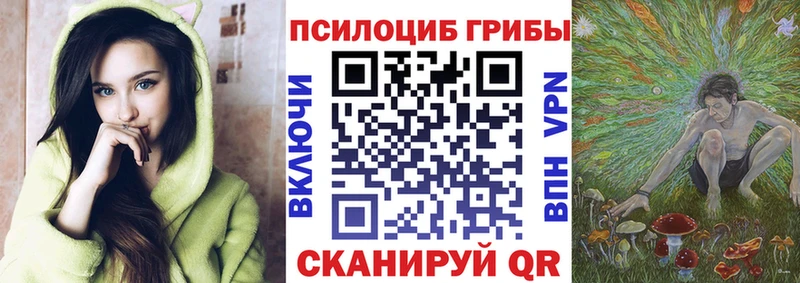 Псилоцибиновые грибы Magic Shrooms Купить закладки Зеленодольск